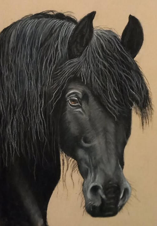 Ginnys Pet Portraits