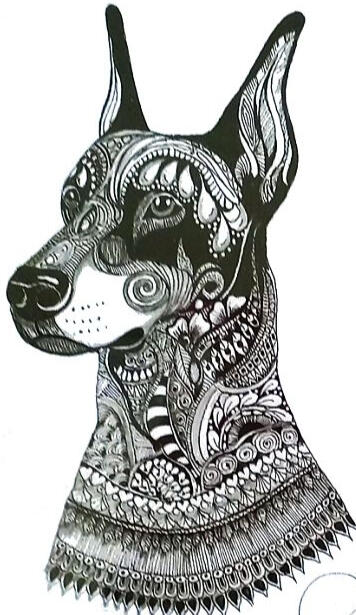 Pet Portraits