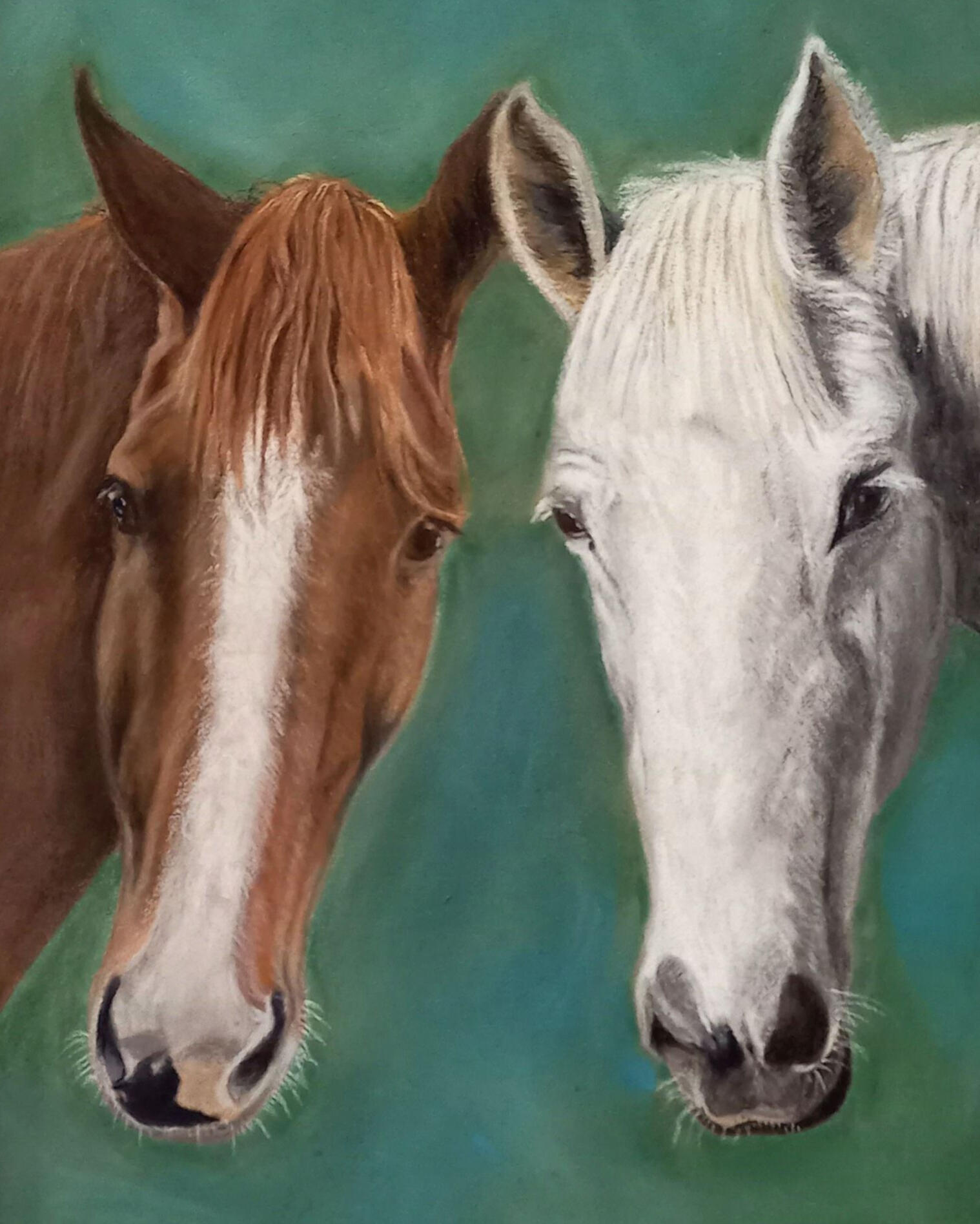 Ginnys Pet Portraits