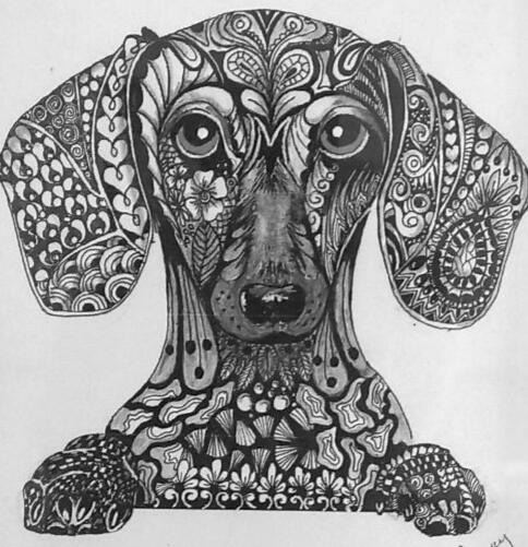 Pet Portraits