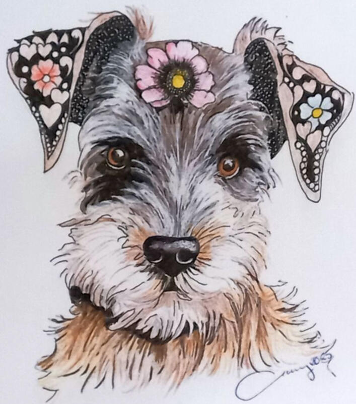 Ginnys Pet Portraits