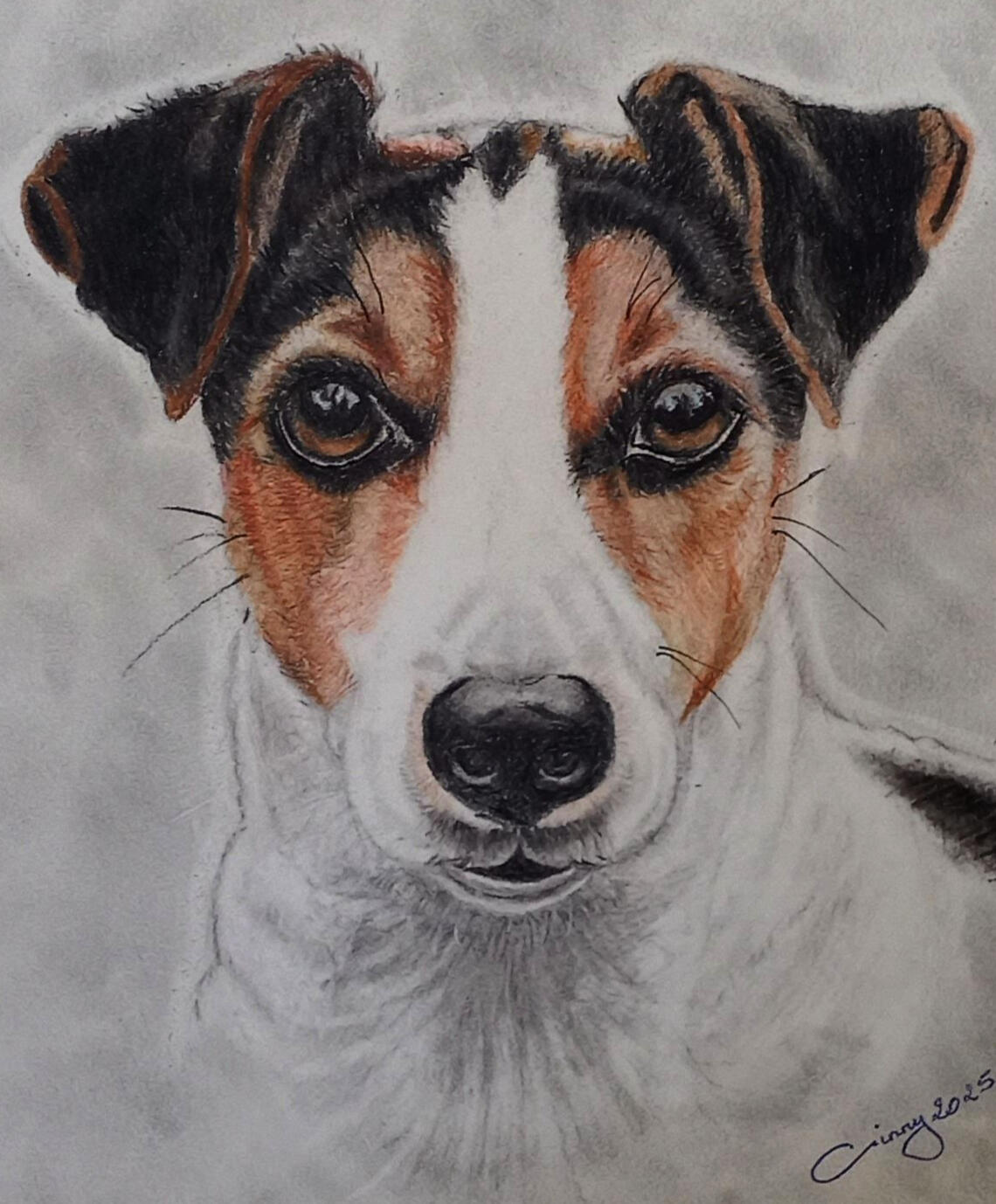 Ginnys Pet Portraits