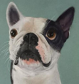 Ginnys Pet Portraits