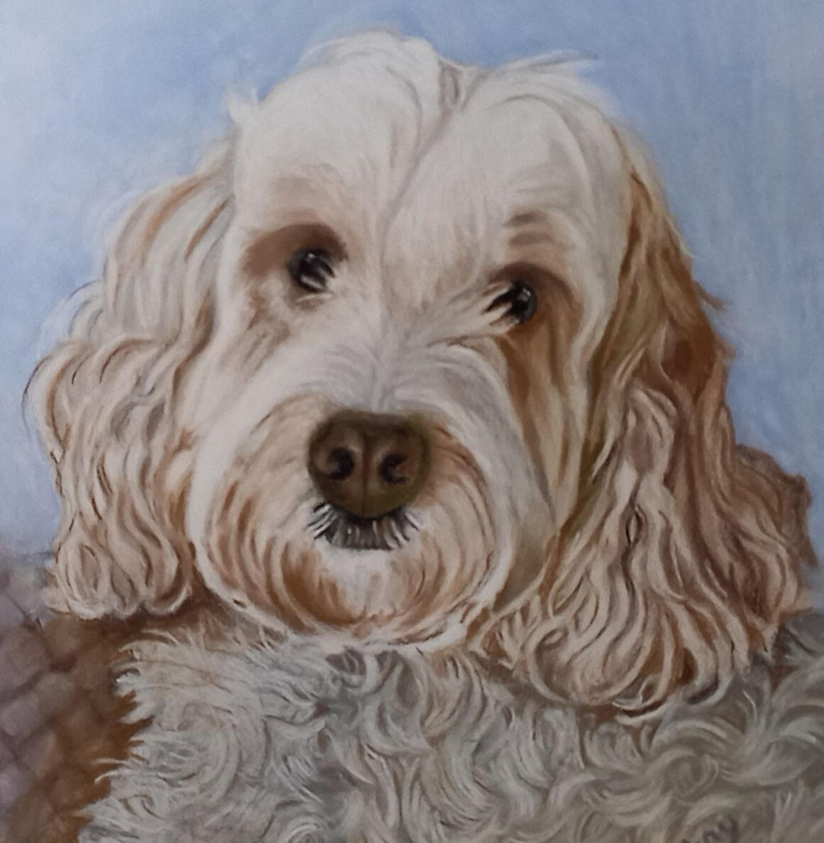 Ginnys Pet Portraits