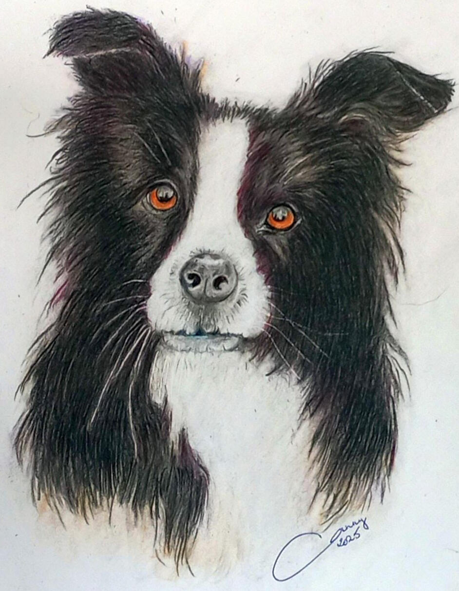 Ginnys Pet Portraits