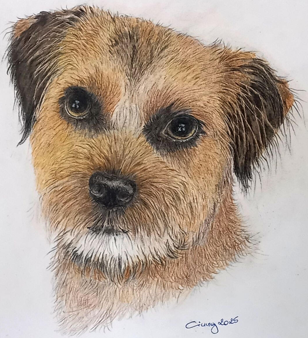 Ginnys Pet Portraits