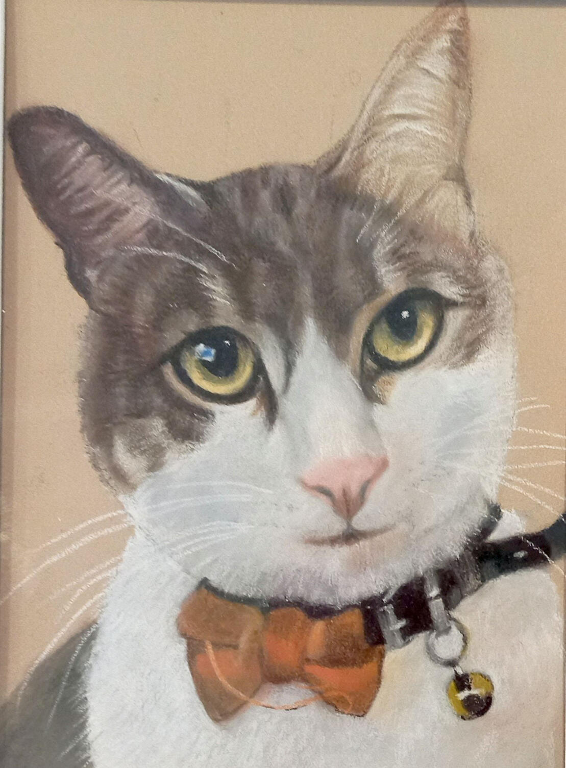 Ginnys Pet Portraits