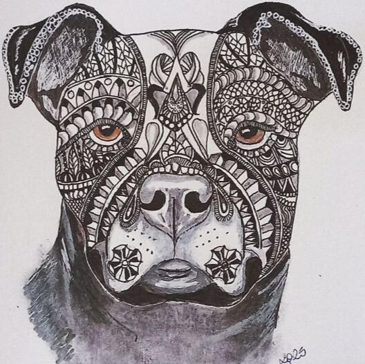 Pet Portraits