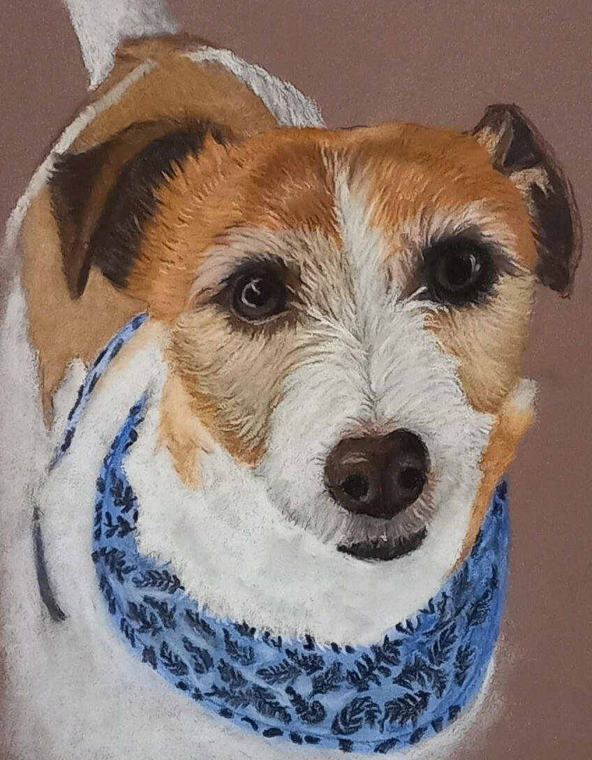 Ginnys Pet Portraits