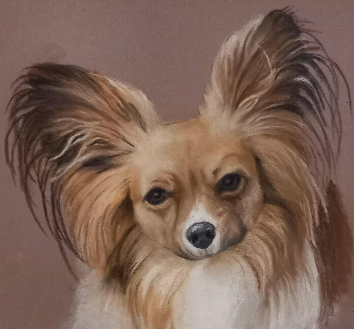 Ginnys Pet Portraits
