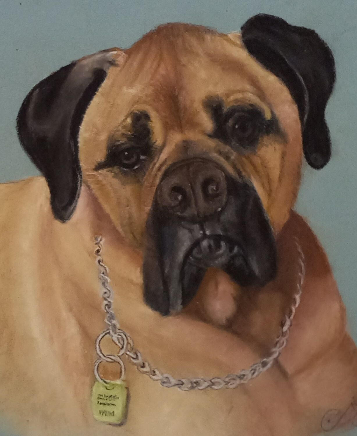 Ginnys Pet Portraits