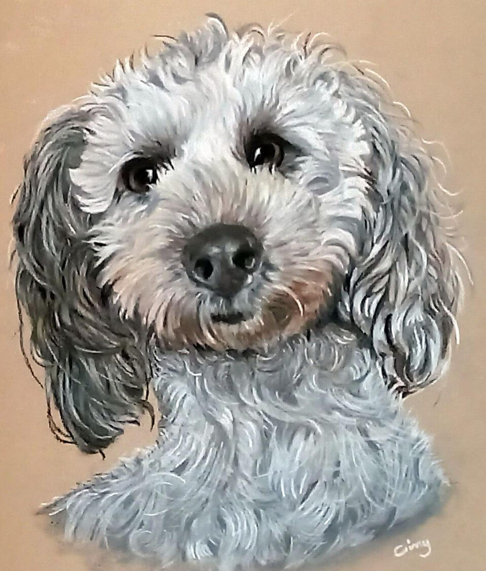 Ginnys Pet Portraits