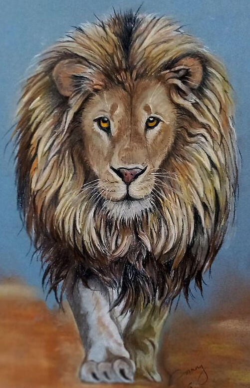 Pet Portraits