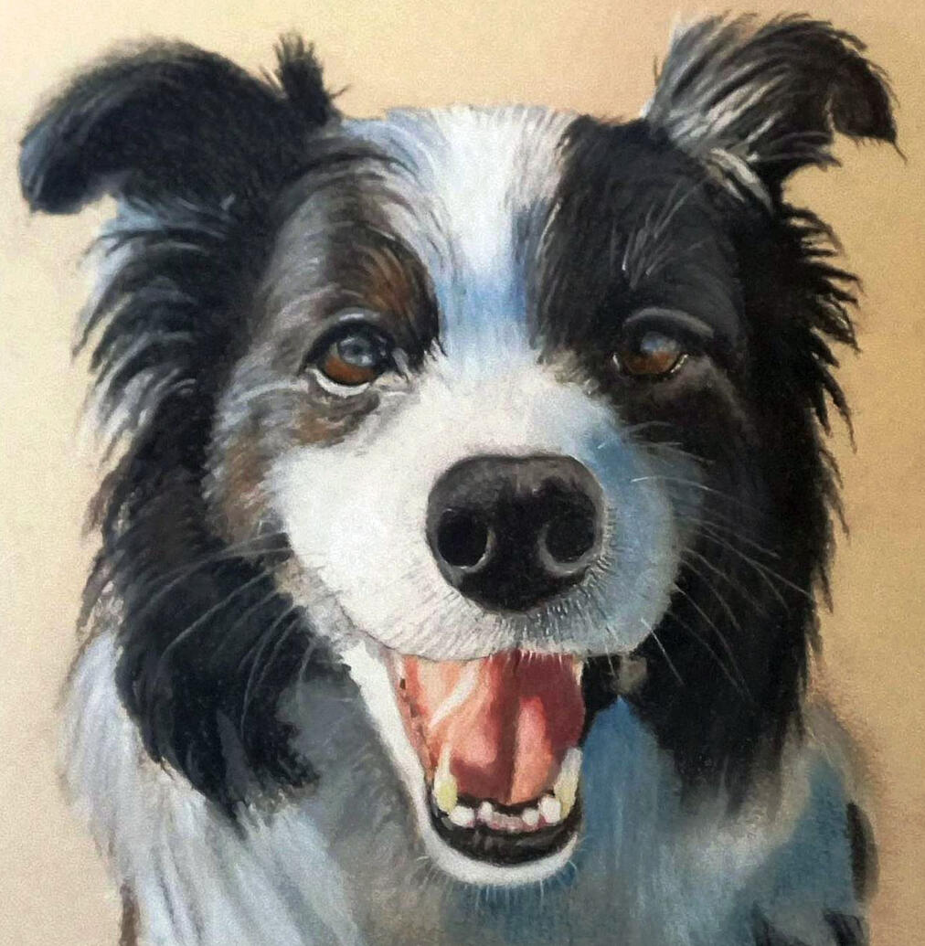 Ginnys Pet Portraits