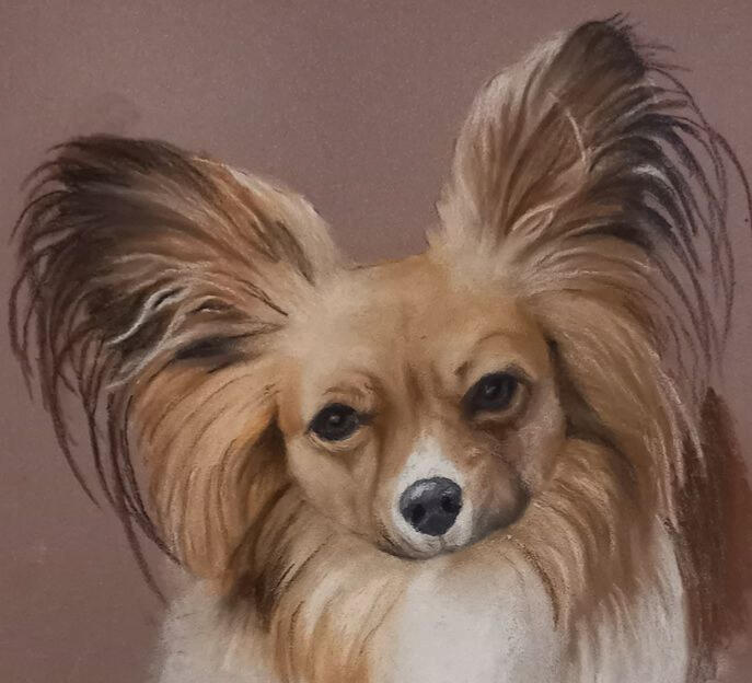 Ginnys Pet Portraits