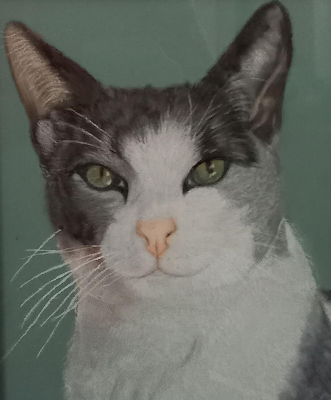 Ginnys Pet Portraits