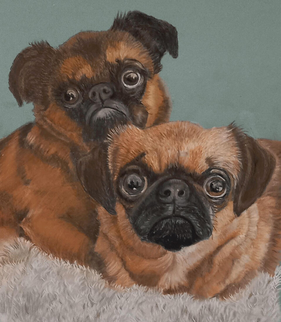 Ginnys Pet Portraits