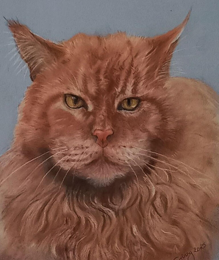 Ginnys Pet Portraits