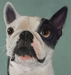 Ginnys Pet Portraits