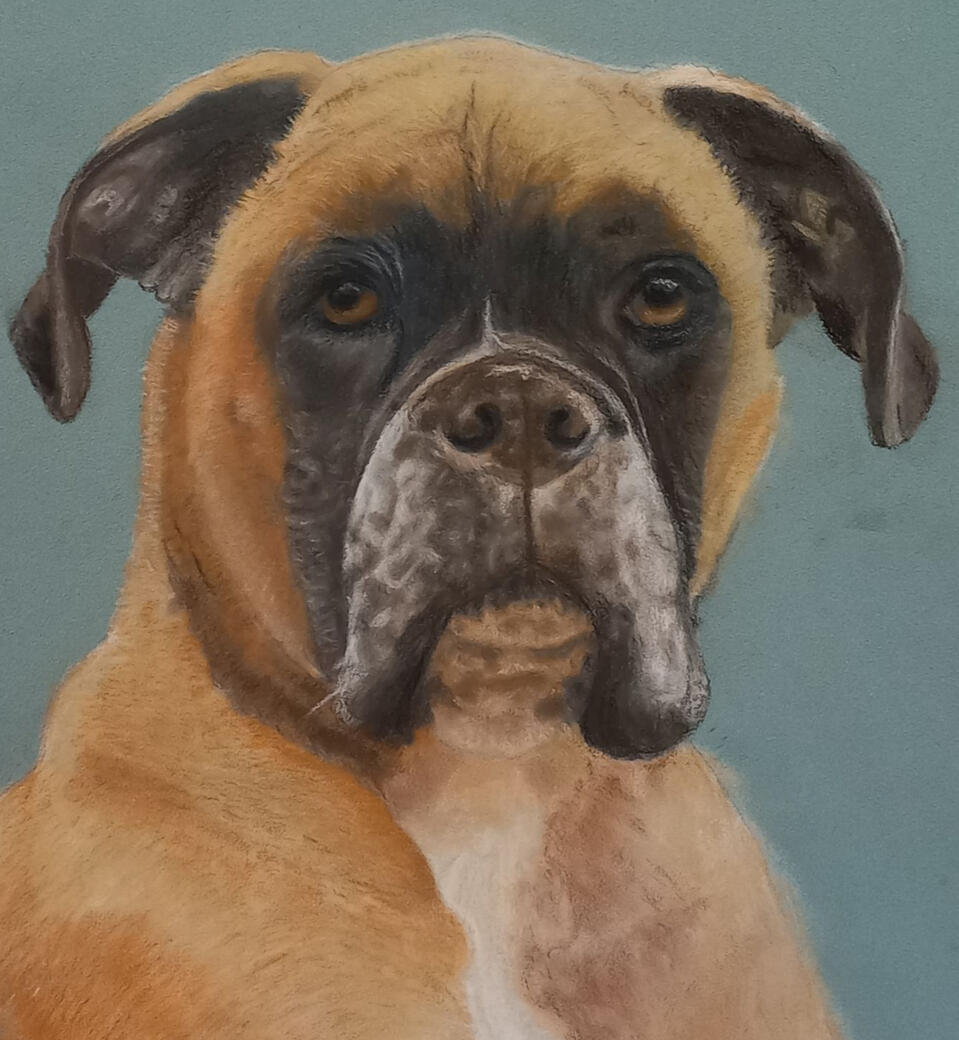 Ginnys Pet Portraits