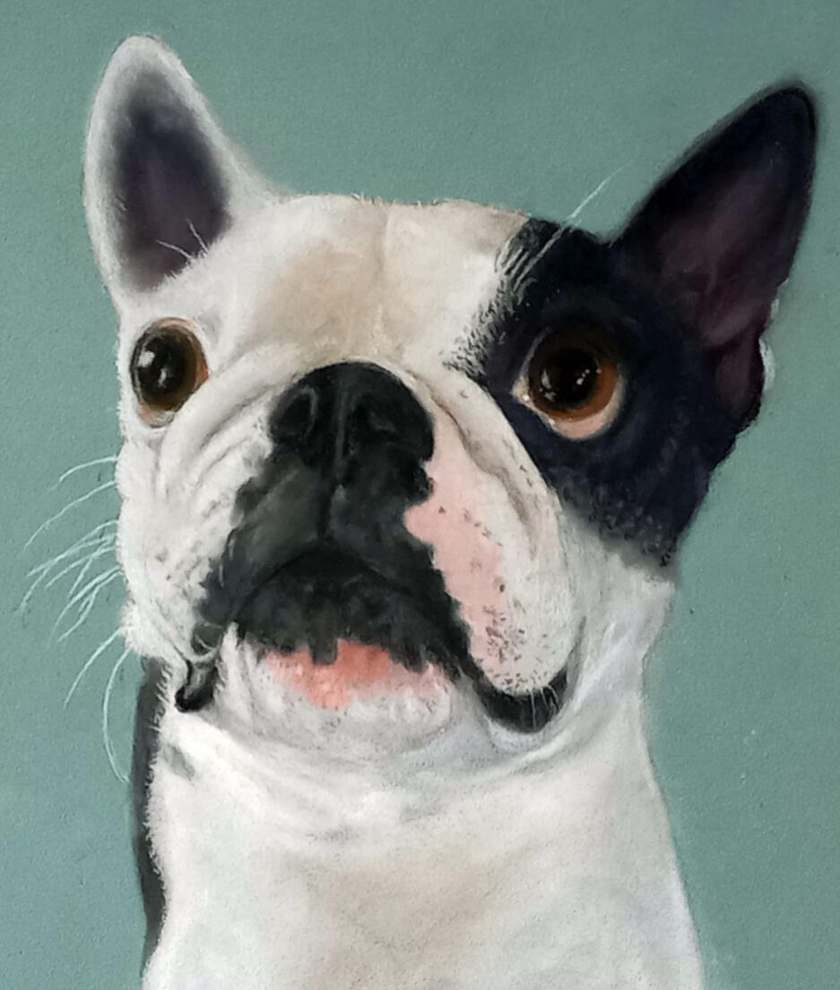 Ginnys Pet Portraits