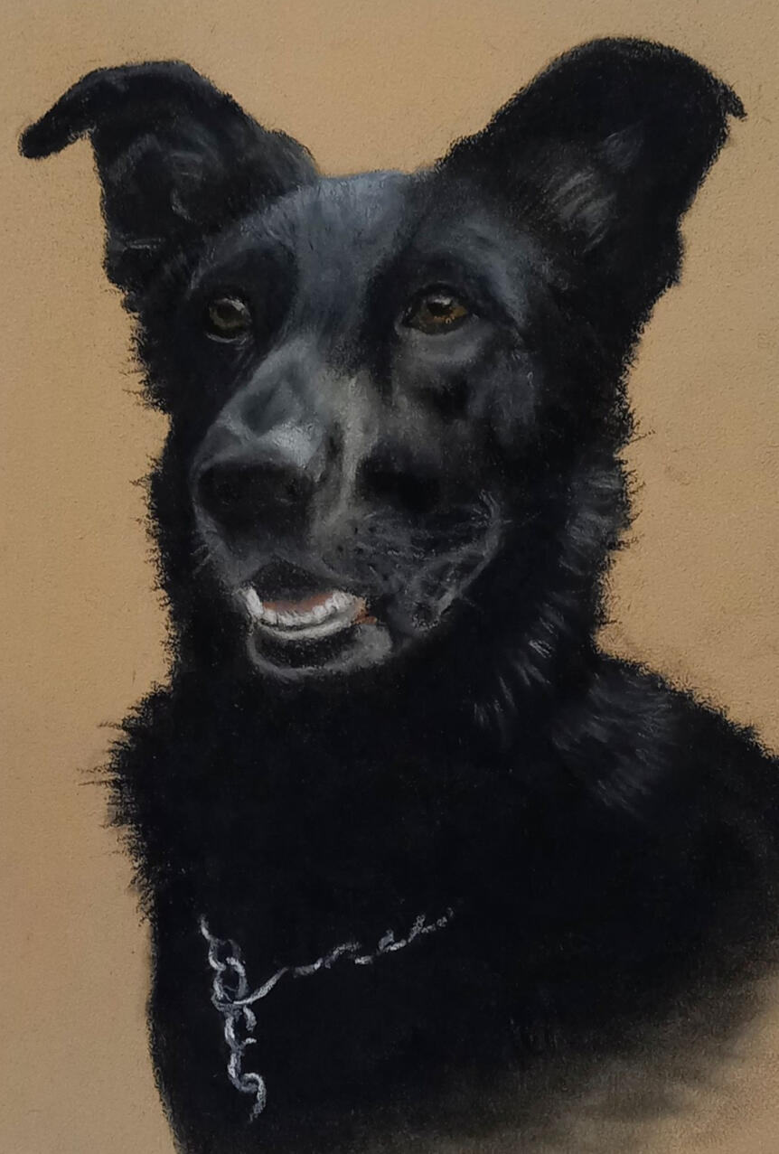 Ginnys Pet Portraits